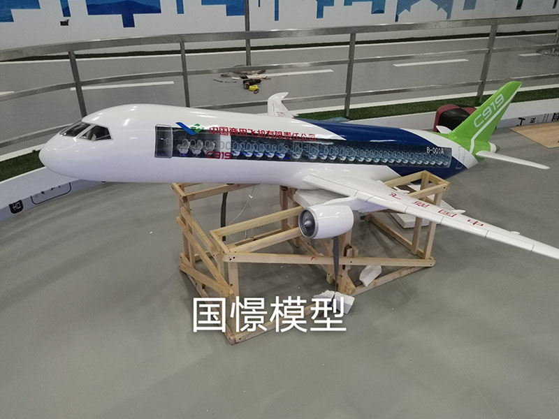 六安飞机模型